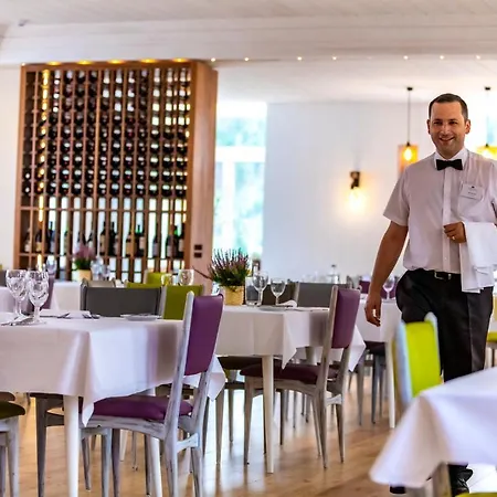 Hotel Grande Caldas Da Felgueira 4*